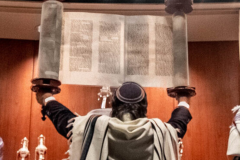 Website Image_Rabbis Page RRR
